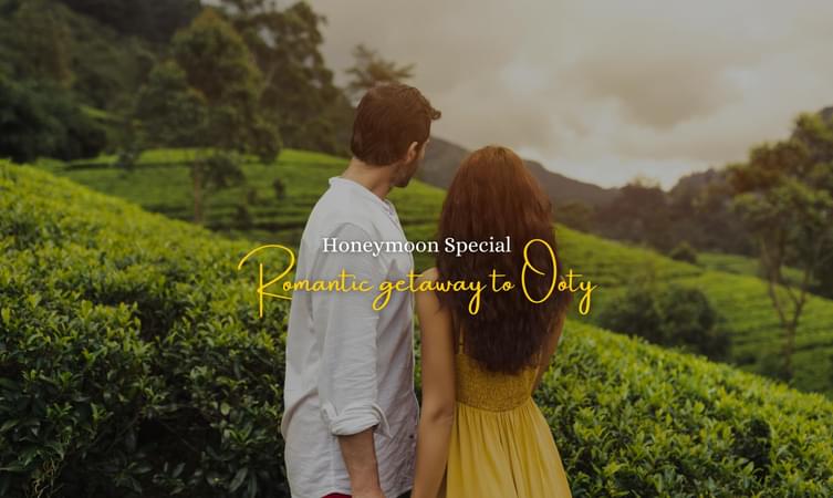 0tvsrdo3ap9qxege8ycusyk2oh7t honeymoon%20special