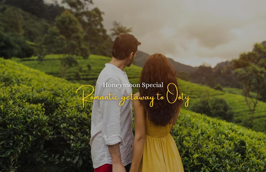 Romantic Ooty Honeymoon Tour Package Image