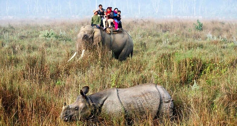 Jungle Safari At Chitwan National Park In Nepal Image