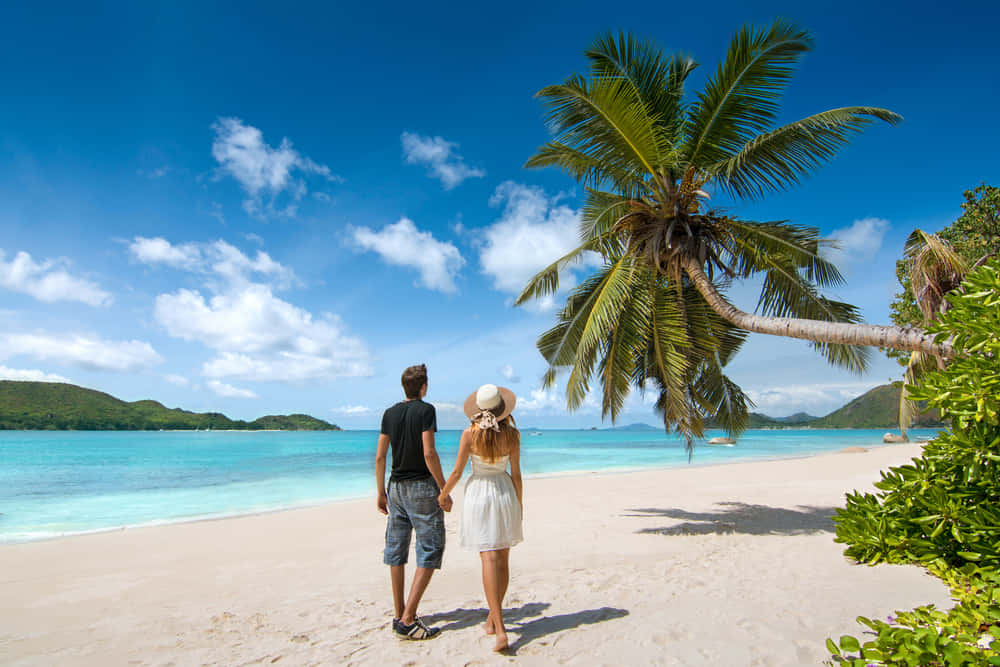 Andaman Luxury Island Bliss | Coral Reefs and Golden Shores