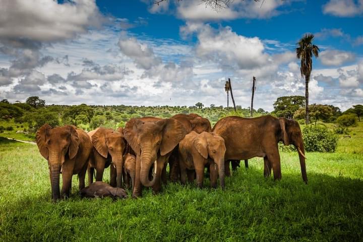 Serengeti National Park.jpg