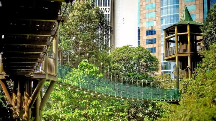 KL Forest Eco Park | Explore The Only Tropical Rainforest in KL!