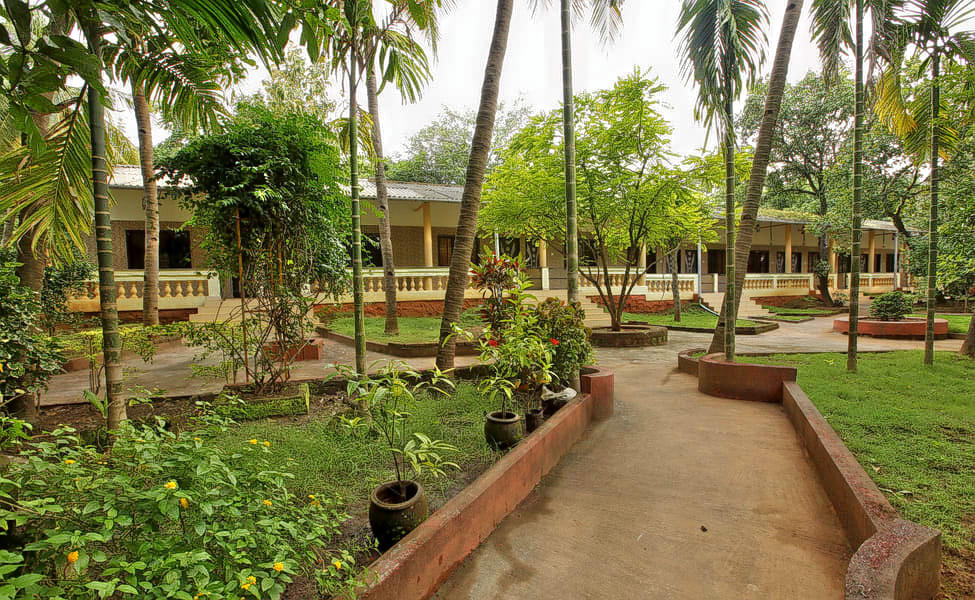 Lush green surroundings of the resort