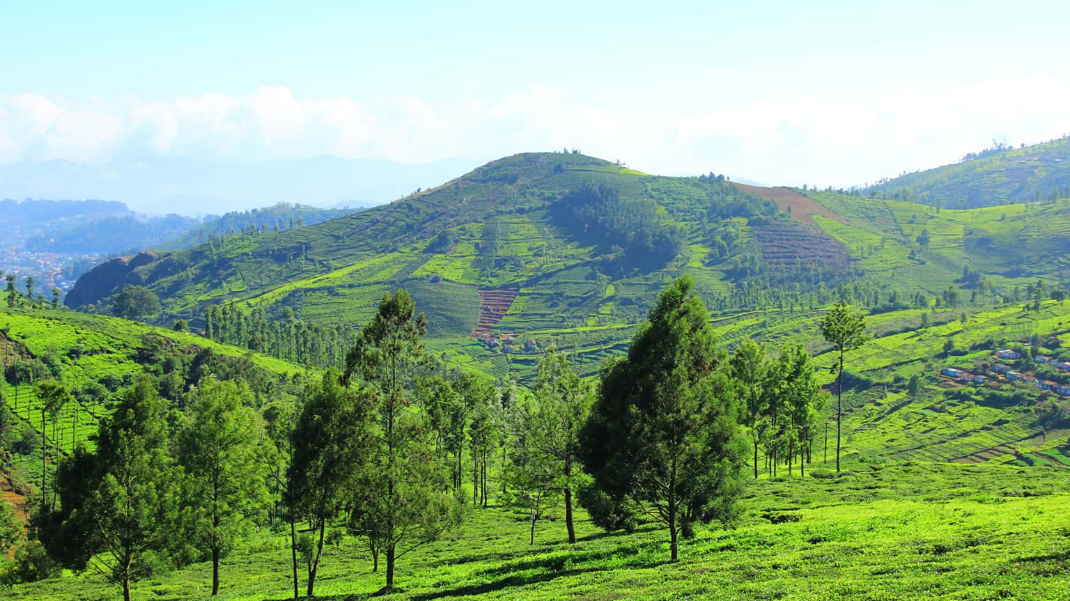 Kotagiri Trek Ooty