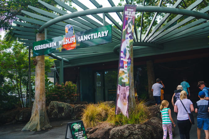 Explore the park’s lush rainforest and open spaces, encountering wildlife at every turn