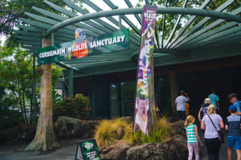 Explore the park’s lush rainforest and open spaces, encountering wildlife at every turn