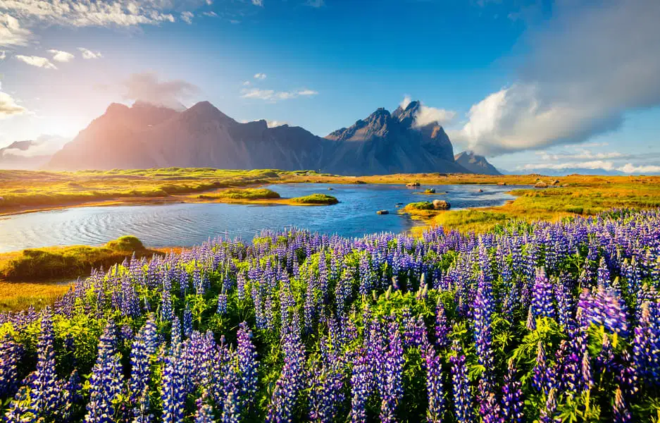 Highlights Of Scandinavia and Finland Cruise