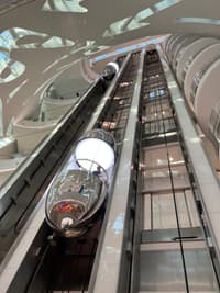 Мария Гончарова