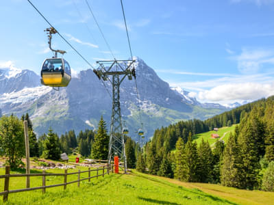 Grindelwald First Cable Car Tickets