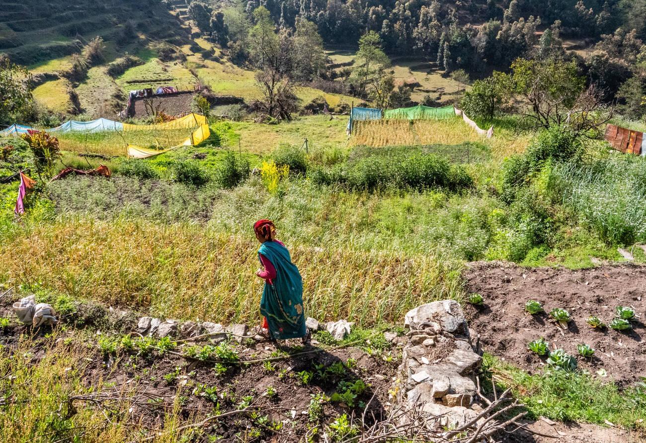 Interact with Locals in Binsar Village
