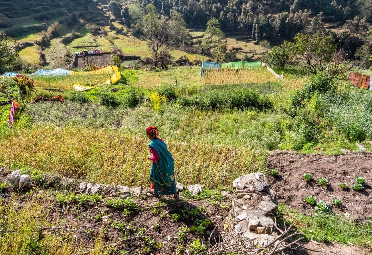 Interact with Locals in Binsar Village