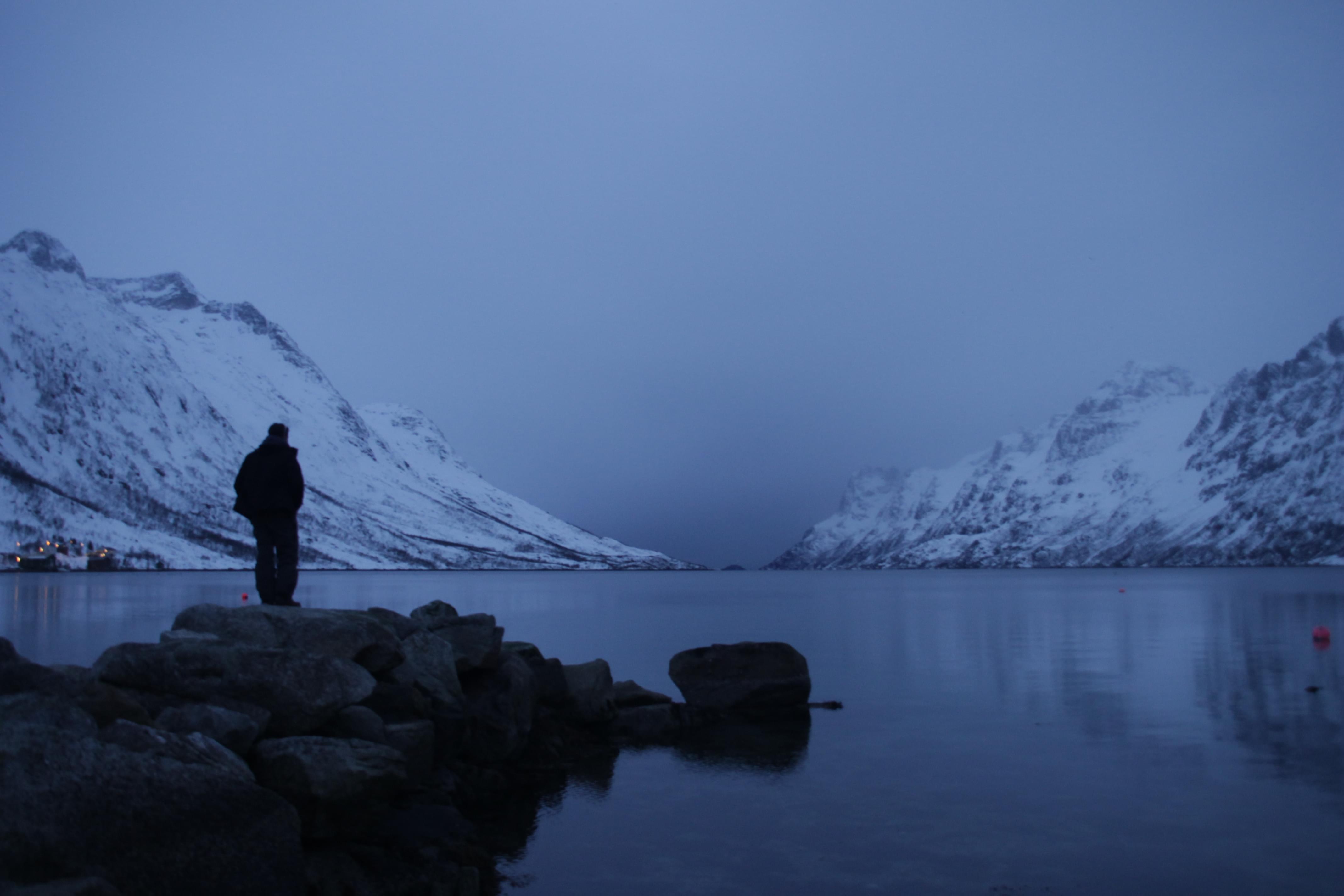 Partake in a snowshoeing adventure