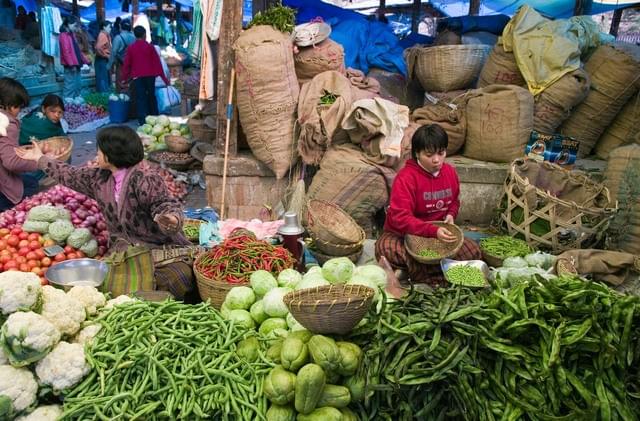 Explore Fresh Organic Produce & Spices
