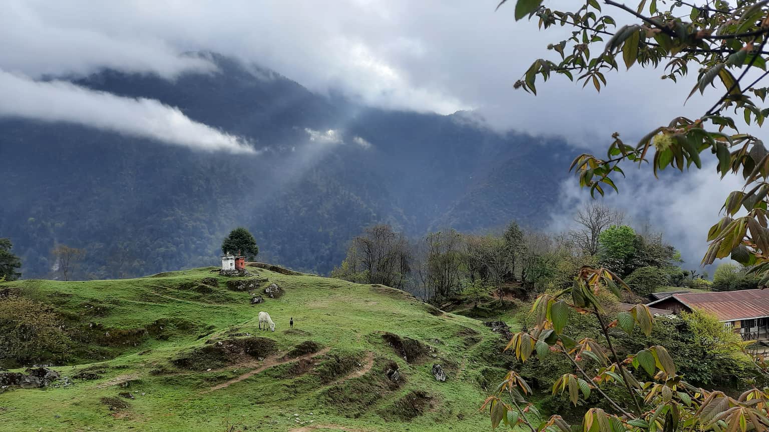 Photo from Vishal Patel's trip