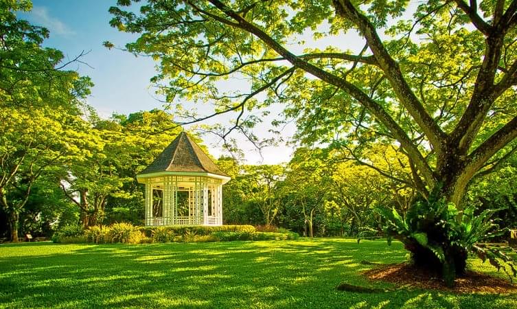 Relax at the Singapore Botanic Garden