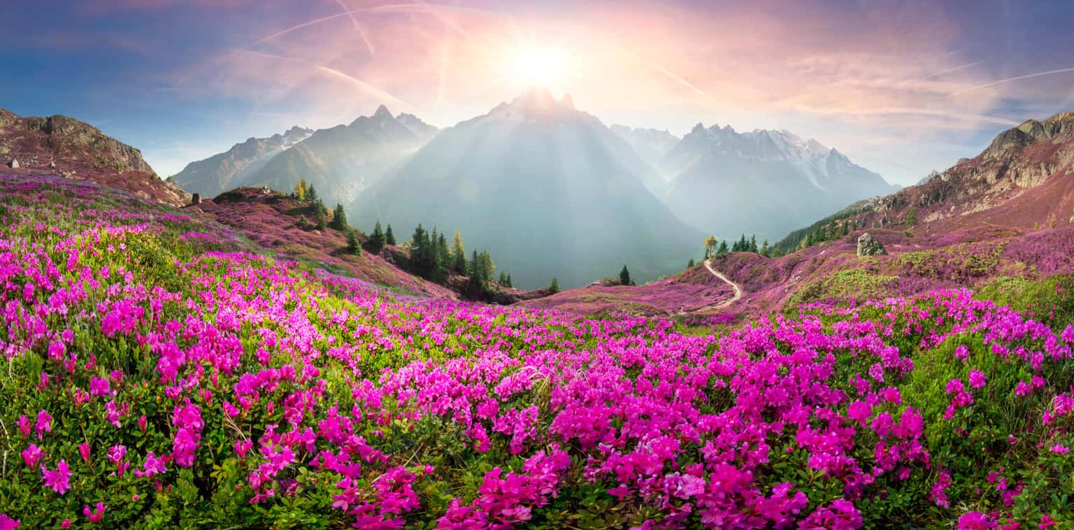 North Sikkim Tour Package From Gangtok