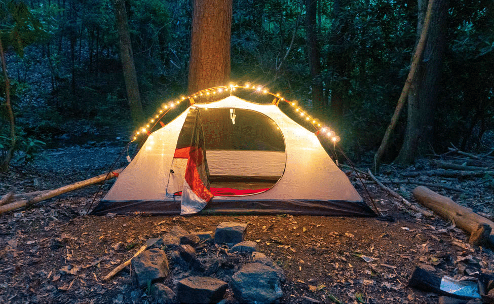 Glamorous Camping in Palampur