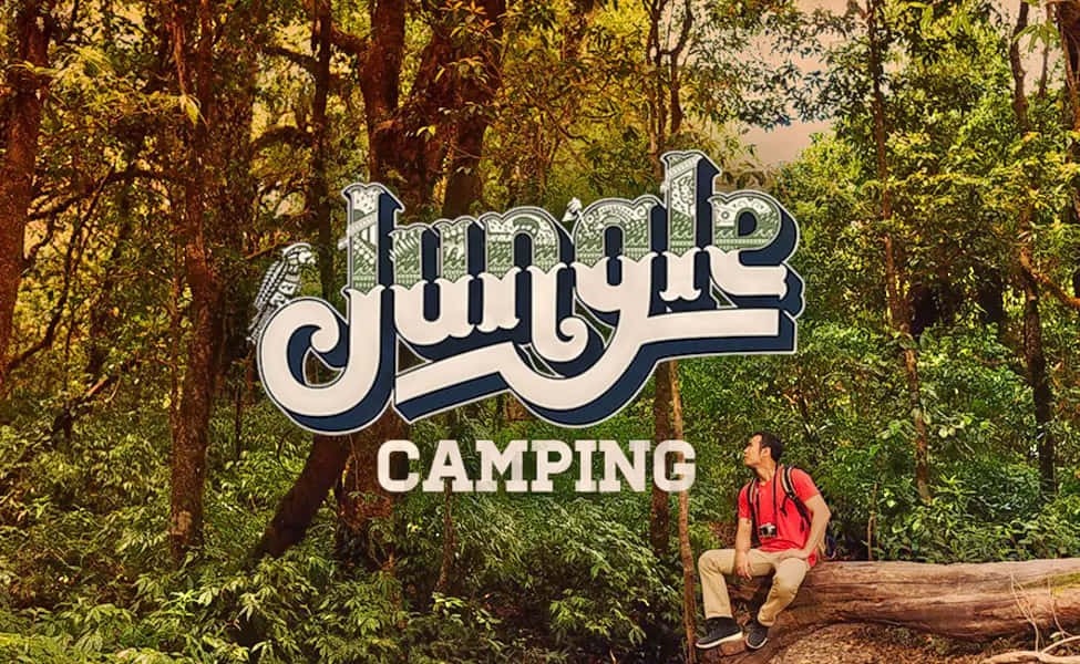 Adventure Jungle Stay in Dandeli