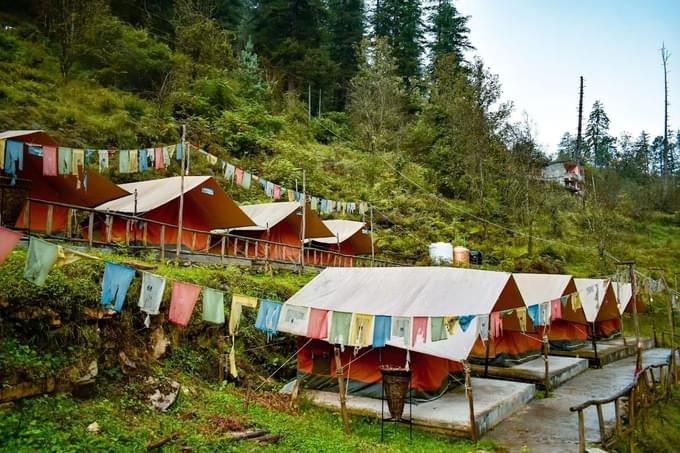 Camping in Chopta