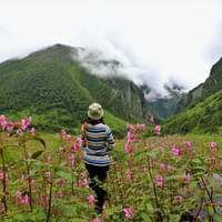 valley-of-flowers-uttranchal-from-haridwar