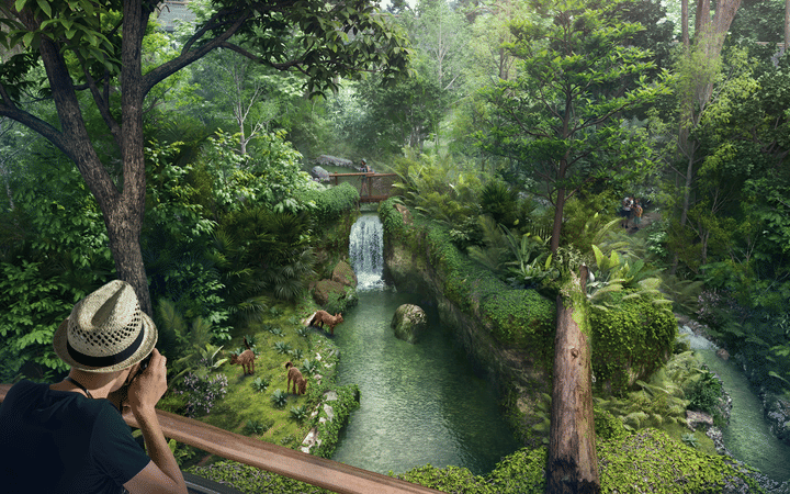 Rainforest Wild Asia