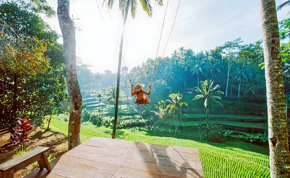 Bali Swing