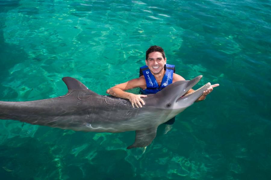 Swim with playful dolphins at Xcaret Park