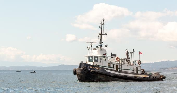 Orcas Island Whale Watching.jpg