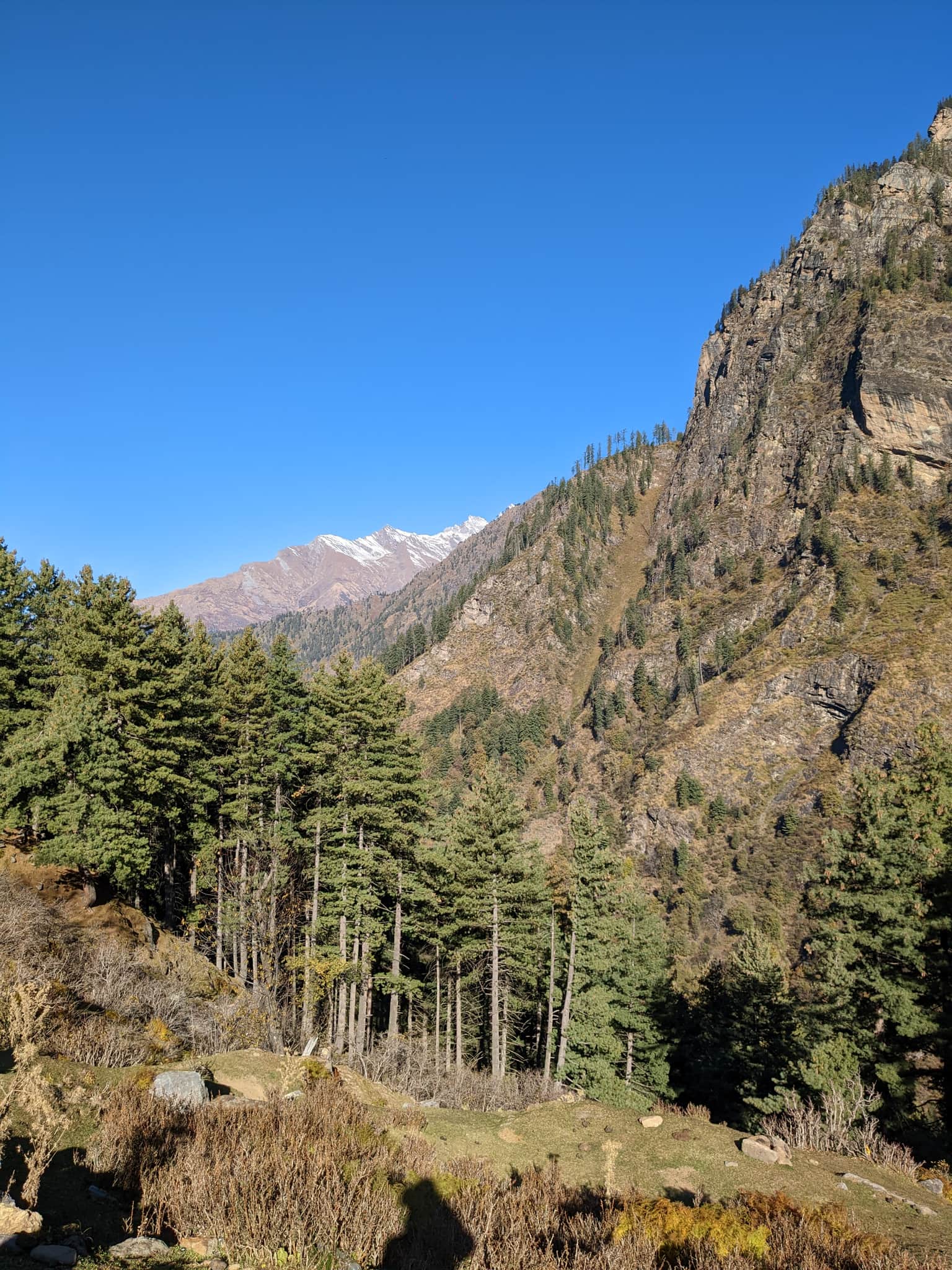 Photo from Aagya  Tiwari's trip