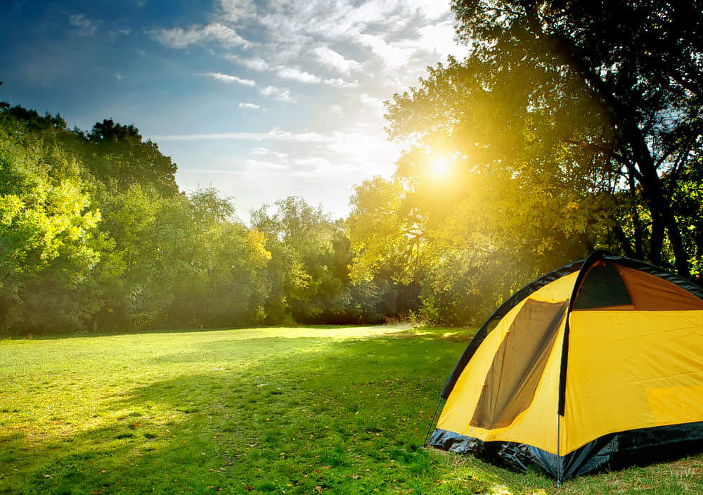 Nature Adventure Camp