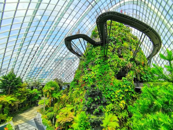 gardens by the bay cloud forest