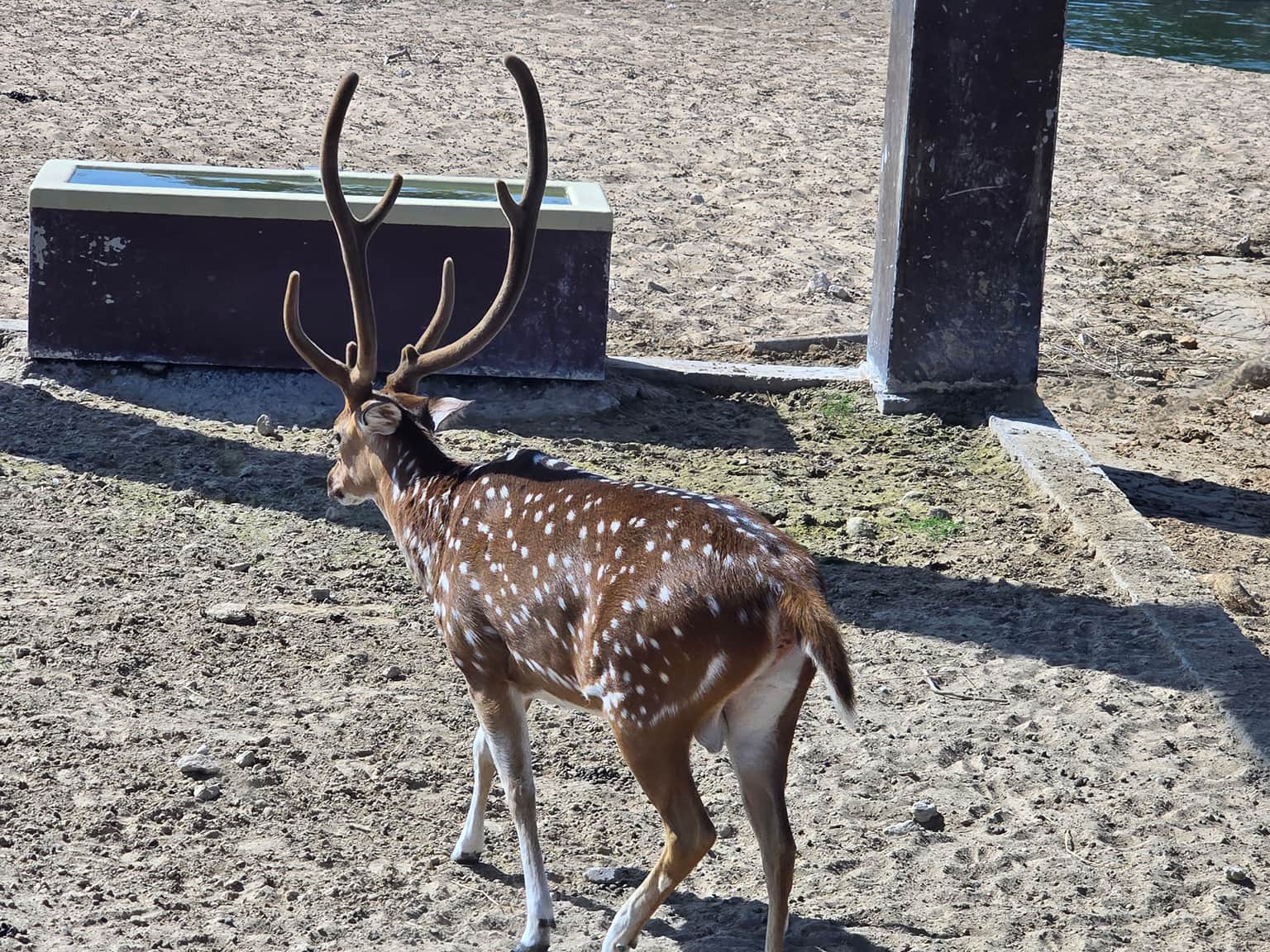 Photo from Mohammad 's trip