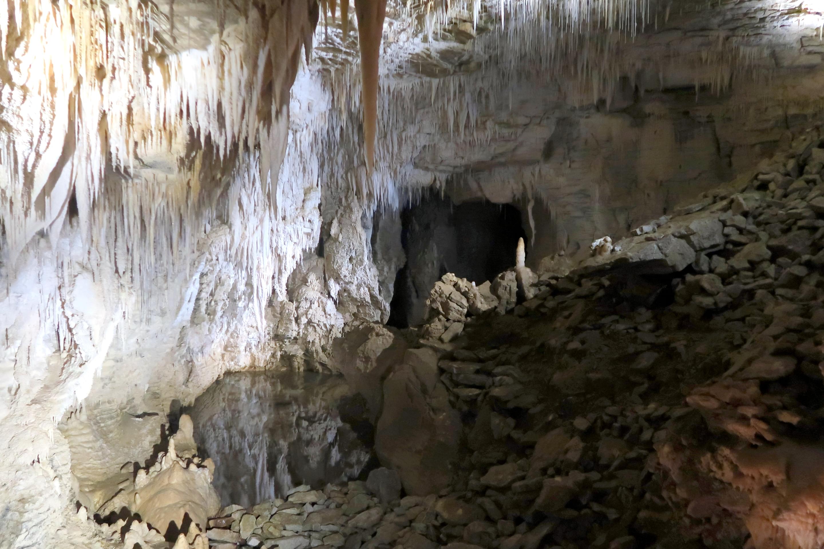 Ruakuri Cave Overview