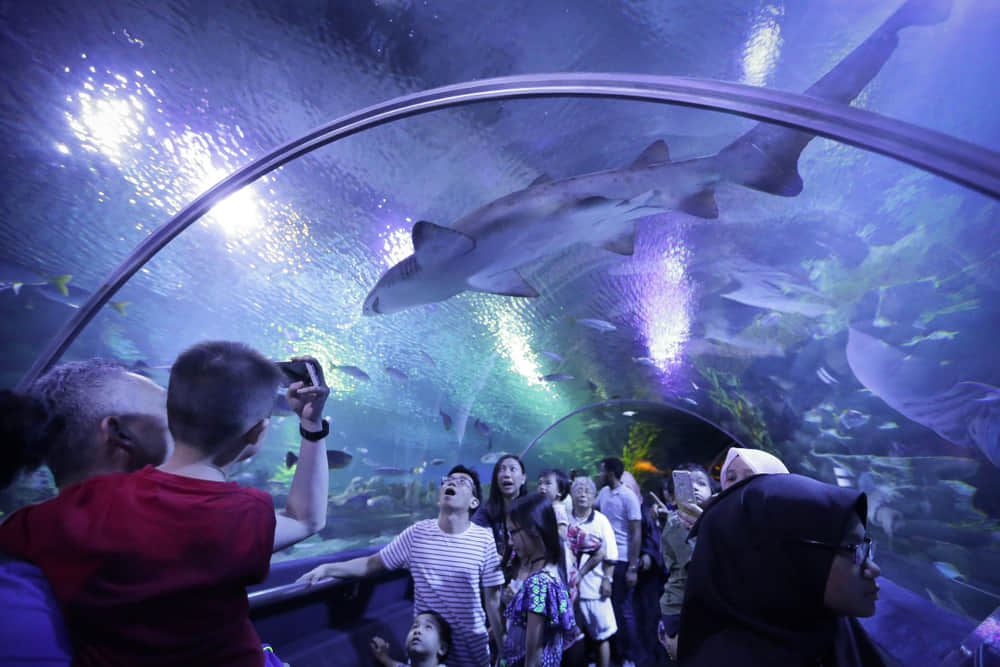 Aquaria KLCC