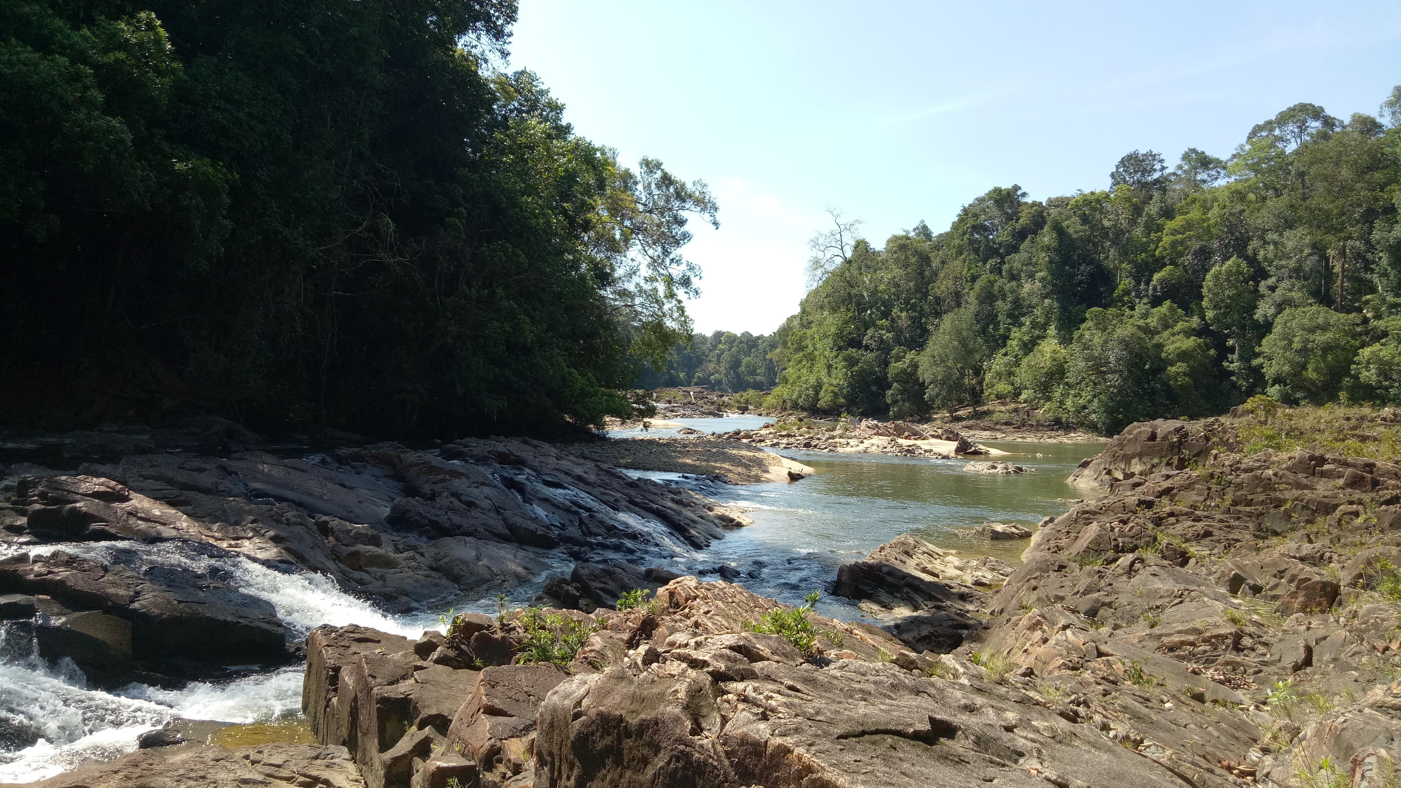 Endau Rompin National Park Overview