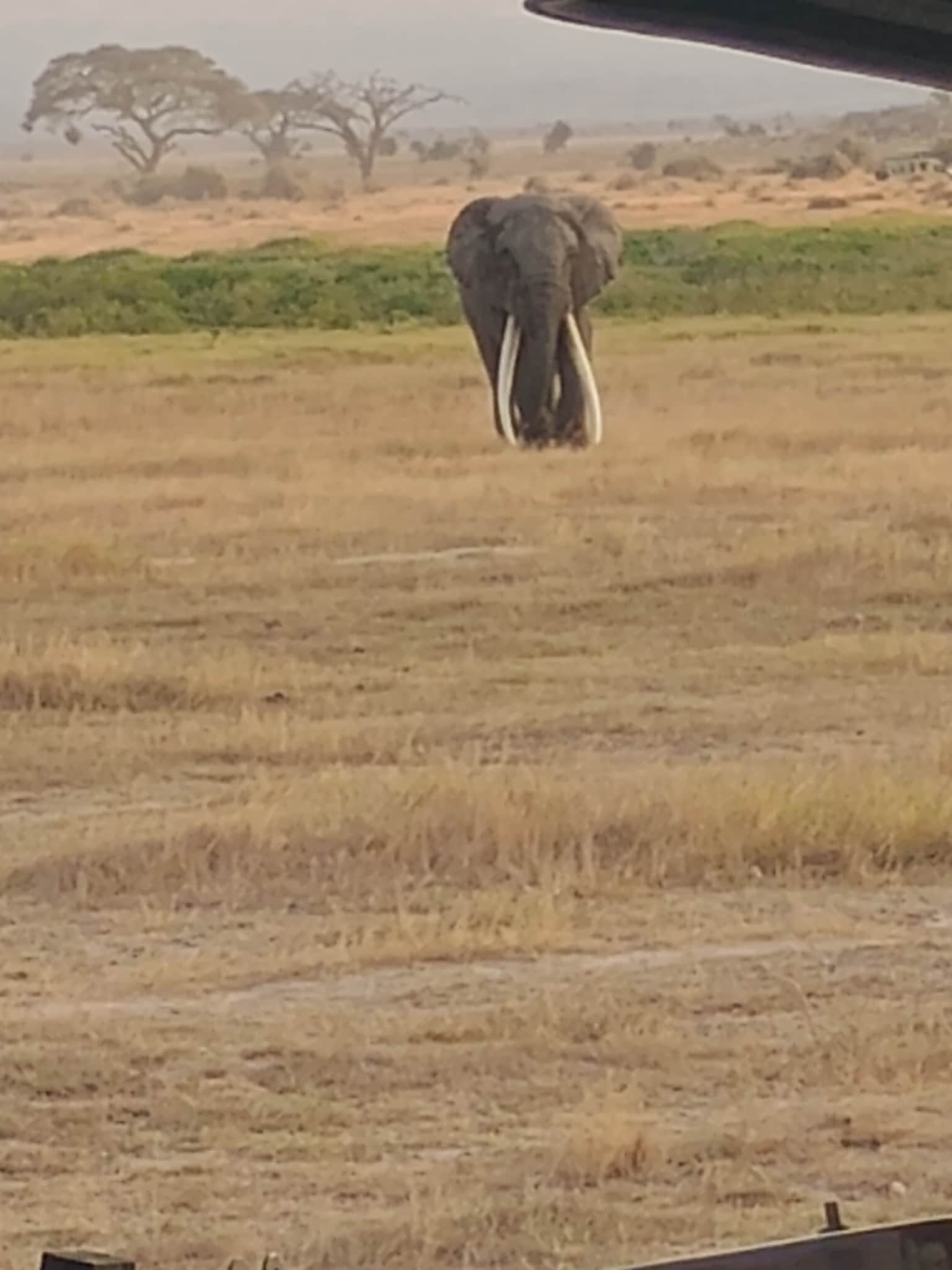 Photo from Sushant Palekar's trip