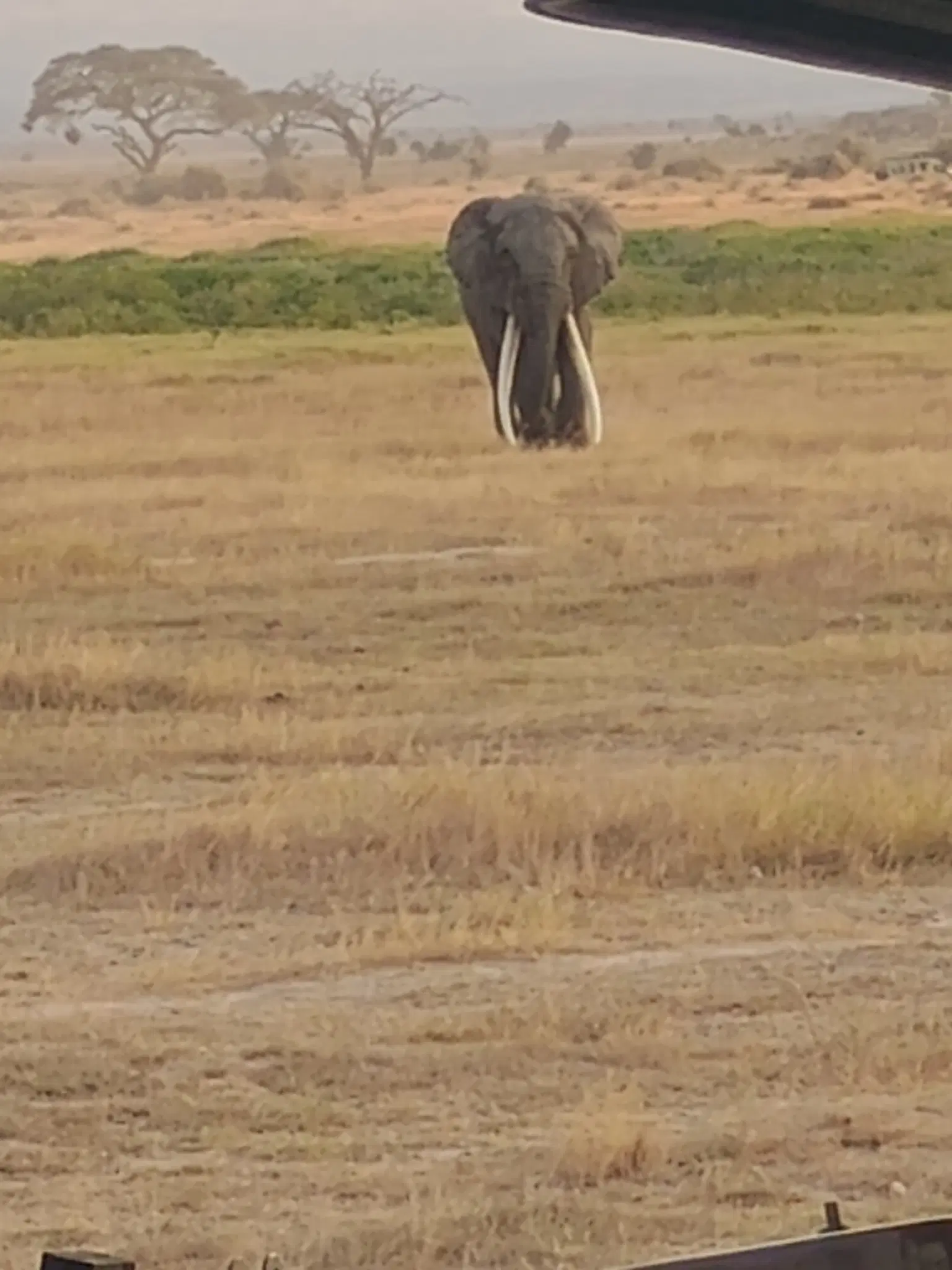 Photo from Sushant Palekar's trip