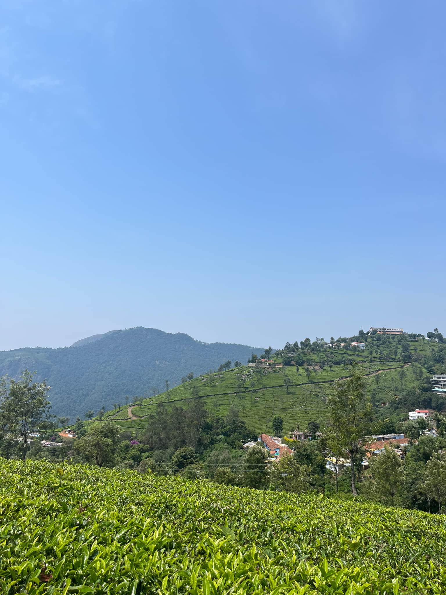 Glimpse of Ooty & Coonoor | Escape to the Nilgiris