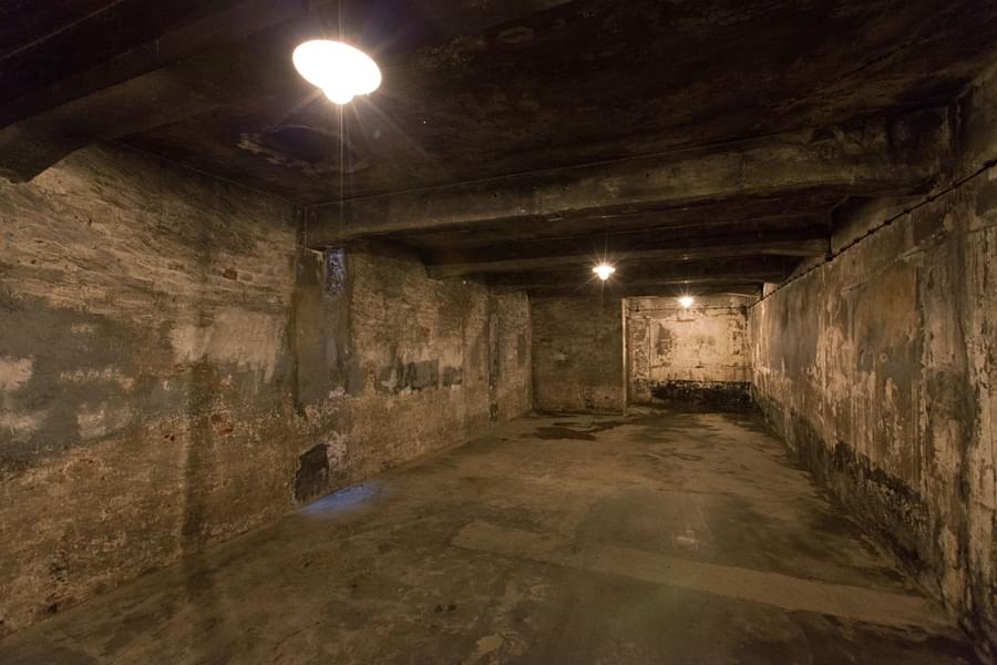 Auschwitz & Birkenau: Tour with Individual Entrance