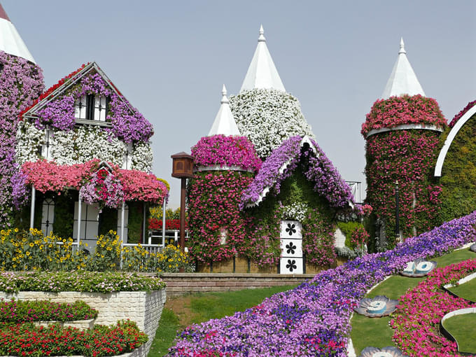 Miracle Garden