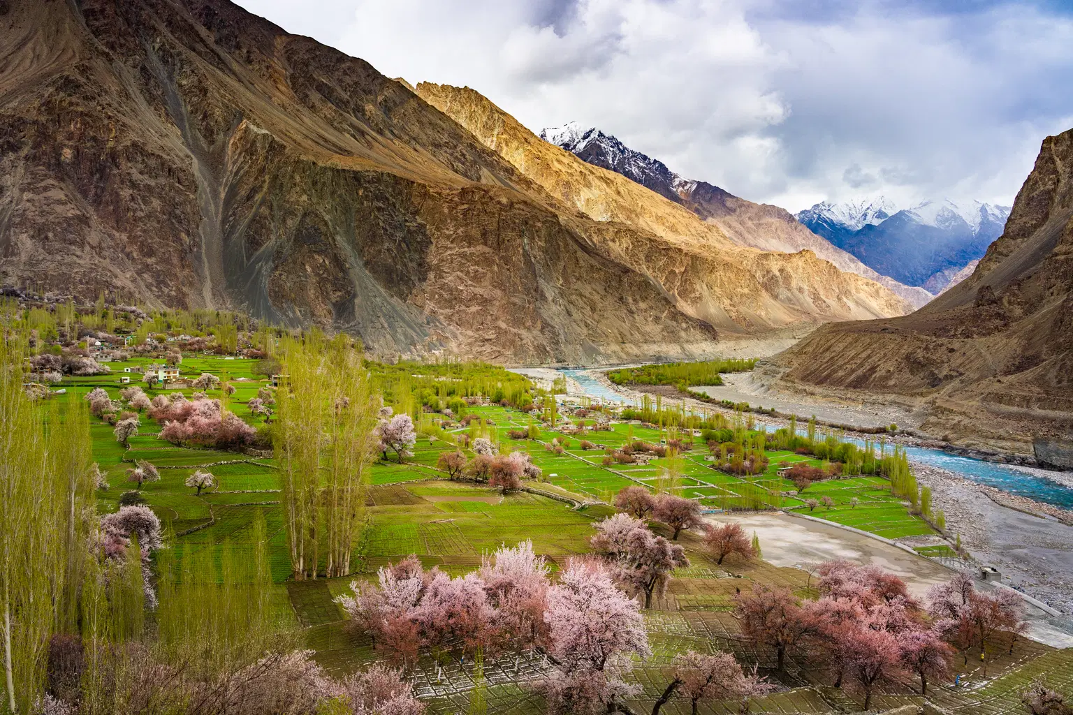 Best Deals Tours in Ladakh