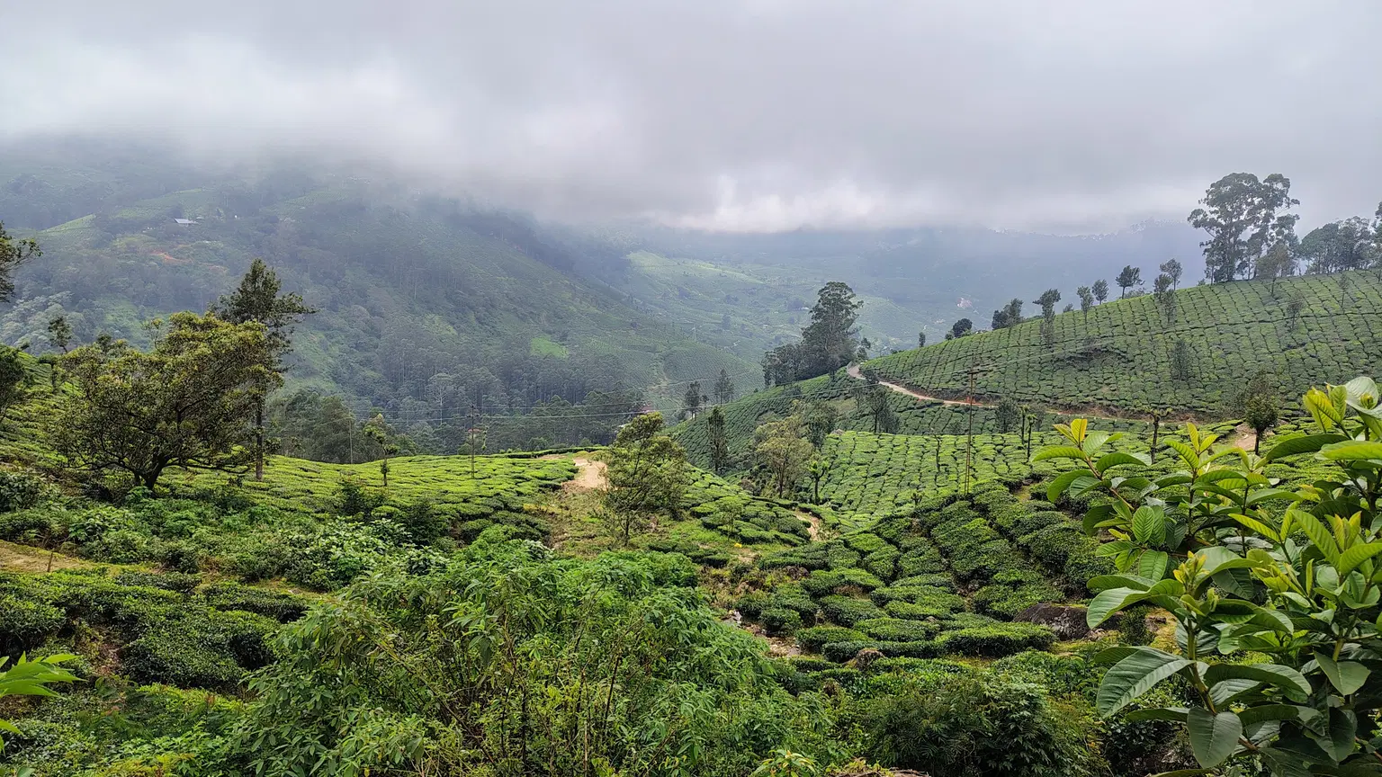 Photo from Amrita Gupta's trip