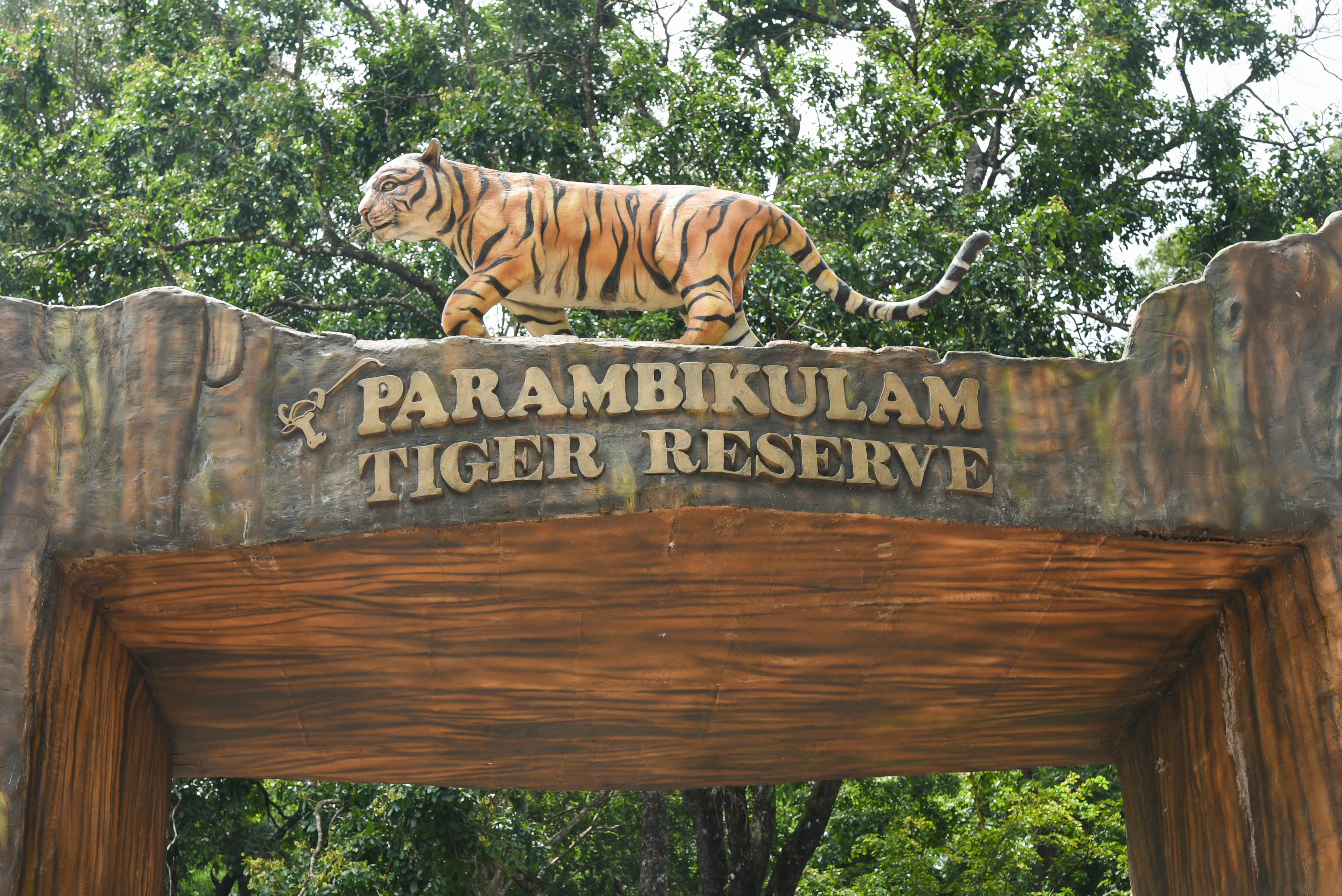 Parambikulam Wildlife Sanctuary