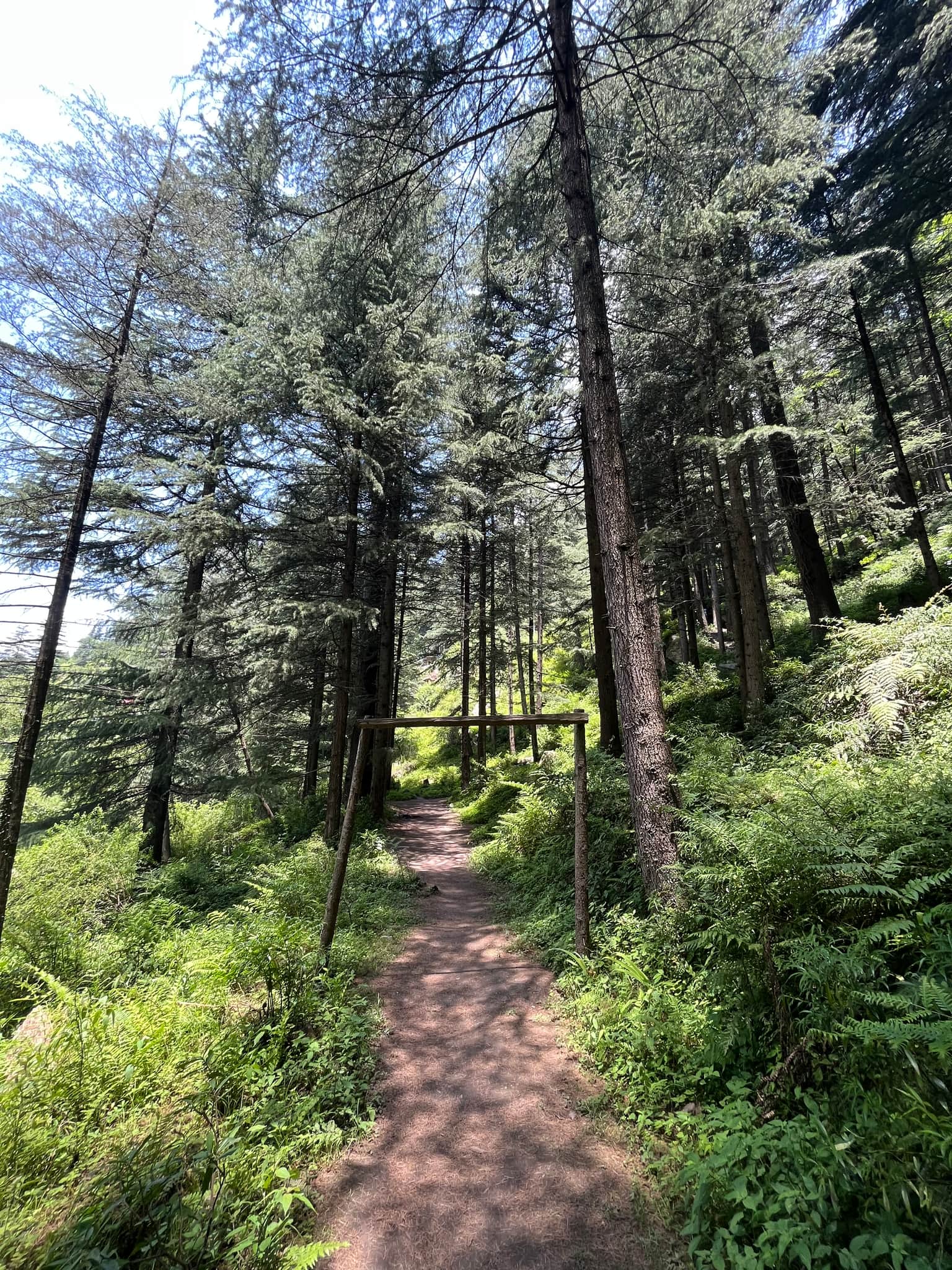 Photo from Evelyn Fernandes .'s trip