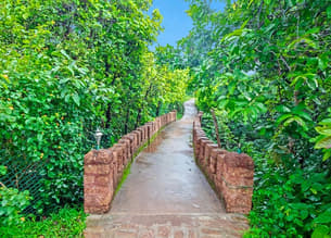 156vlwq2h7723u6td0fia34xqtuz 1589634485 gallery22