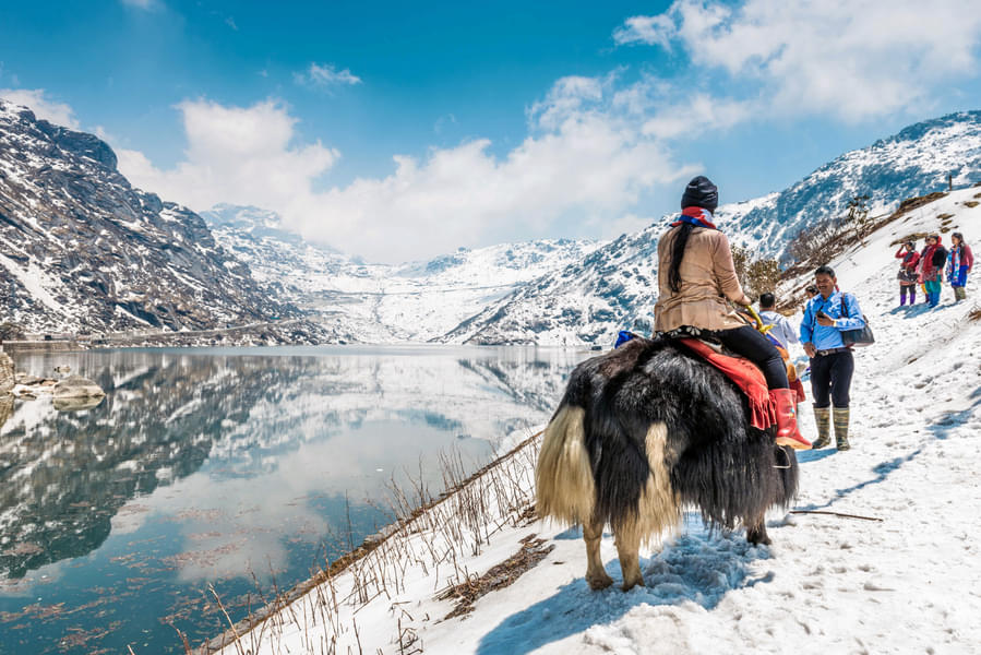 Mesmerising Gurudongmarg Lake with Gangtok and Darjeeling | FREE Yak Ride Image