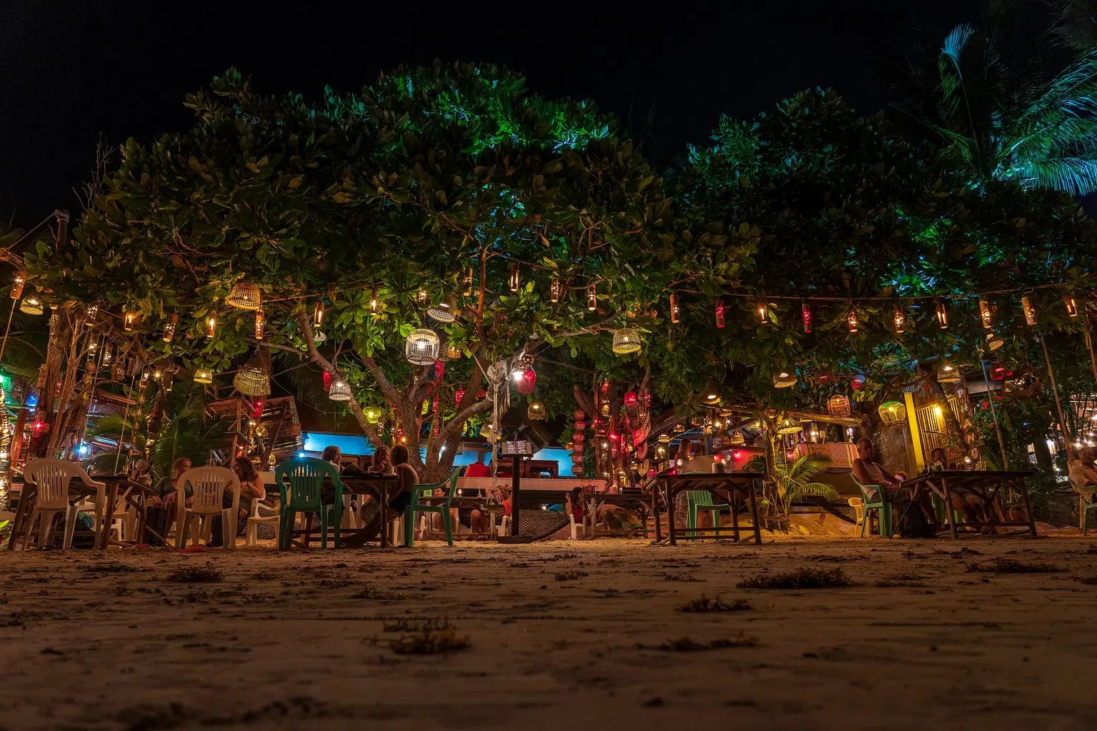 Bars and Nightlife