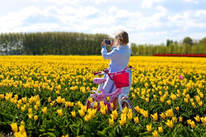 Cycling At Keukenhof Garden