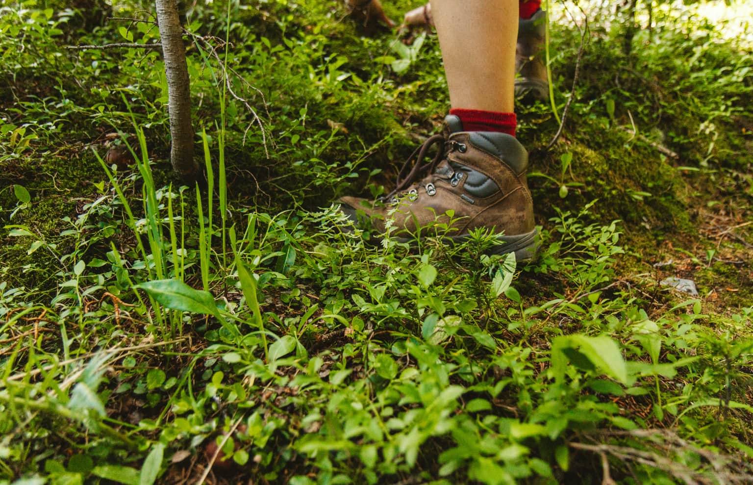 Engage in cliff Jumping, hiking and trekking