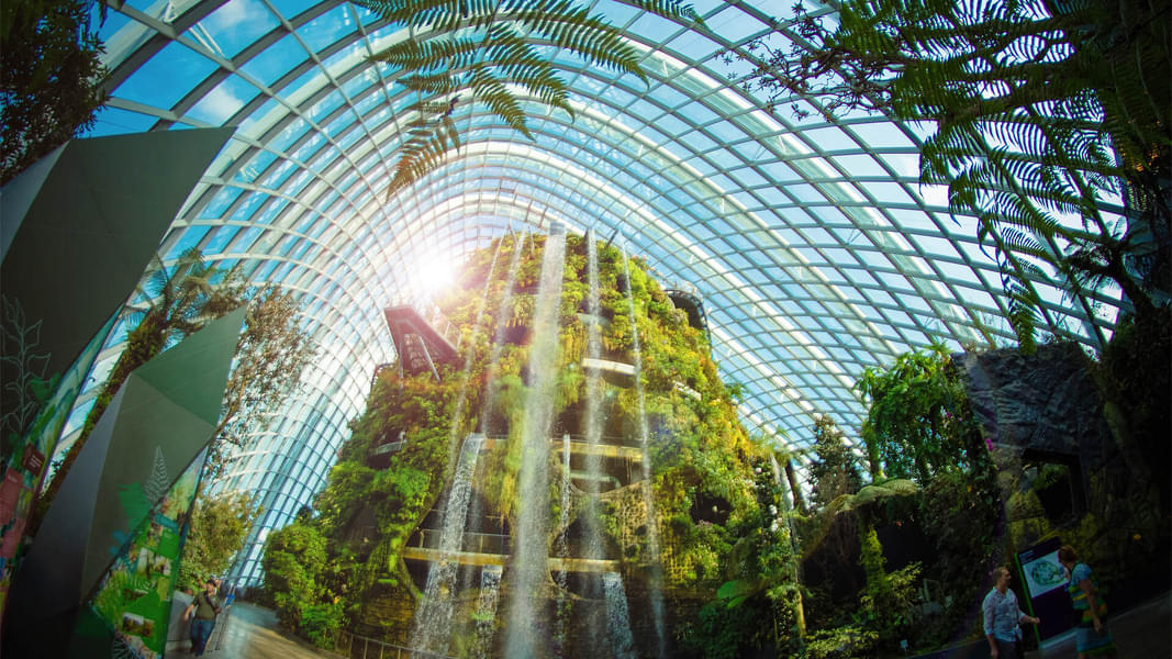 See one of the largest indoor waterfalls at Cloud Forest